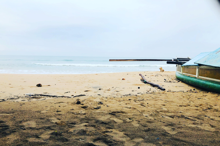 Colombo: Coastal Culture & Cinnamon Experience to Galle