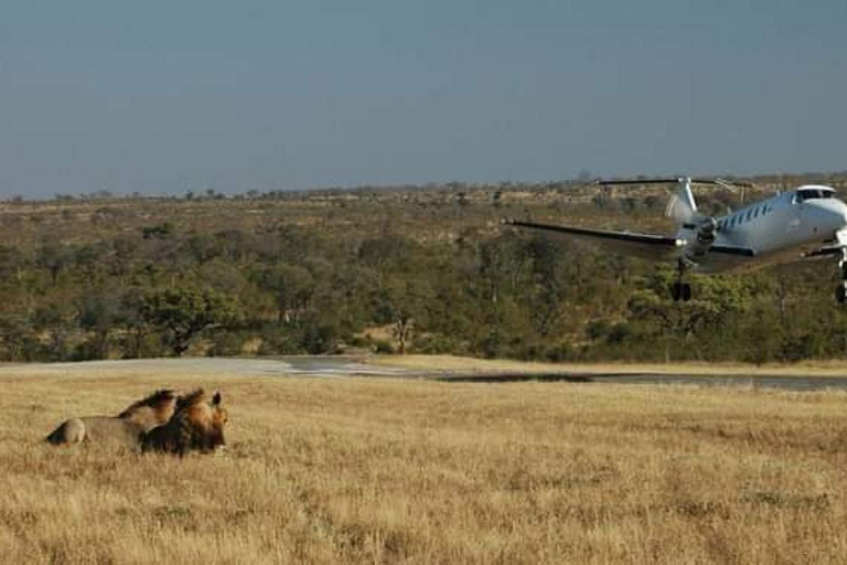 3-dagars safari Zanzibar till Nyerere Park med båt, bil och flyg