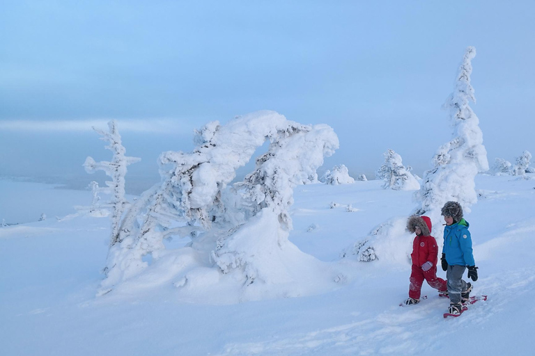 Pyhätunturi: prachtige sneeuwschoentocht in Fins LaplandSchilderachtige sneeuwschoentocht in Fins Lapland