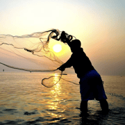 Traditional Cast Net Fishing & Seafood Meal Experience