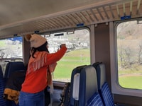 Desde Milán, el pintoresco viaje de día de los Alpes con Bernina Train Ride - Housity