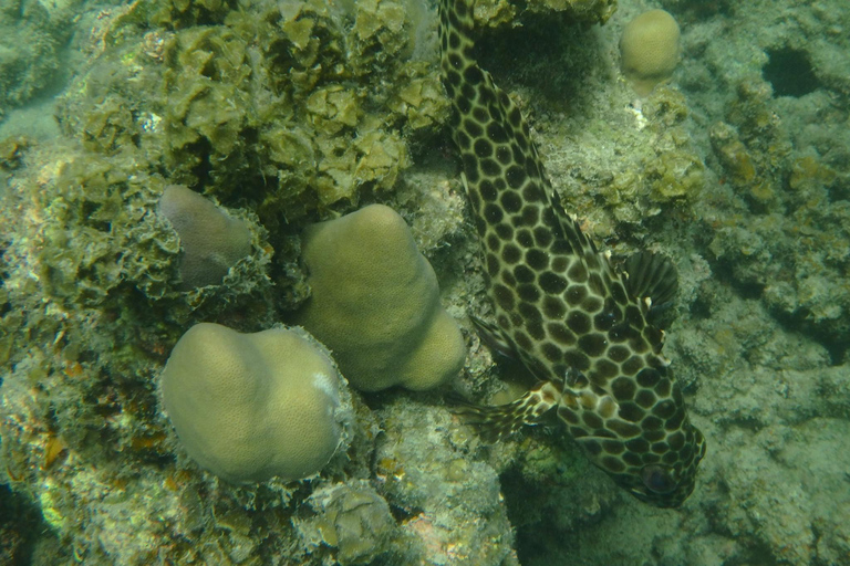 Ang Thong Full-Day Cruise with Sunset by The Red Baron Boat