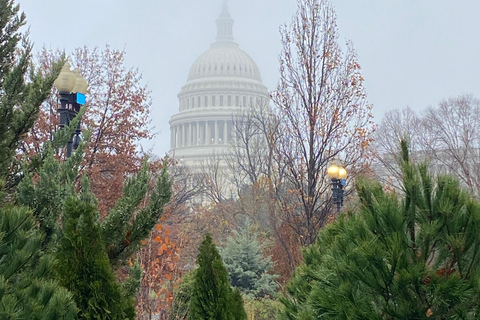 Washington DC: Tour a pie LGBTQWashington DC: Recorrido histórico por la experiencia LGBTQ