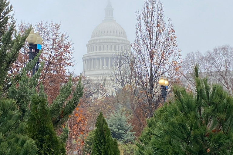 Washington DC: Tour a pie LGBTQWashington DC: Recorrido histórico por la experiencia LGBTQ