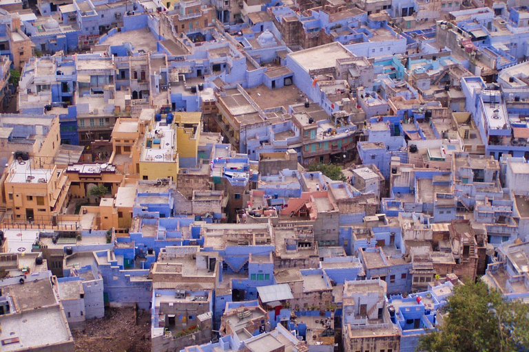 Odyseja po Radżastanie: Jaipur, Jodhpur i Jaisalmer