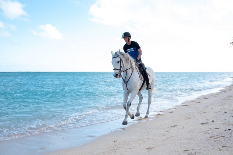 Mauricio: Paseo a caballo por la playa desierta de Riambel