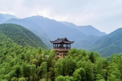 Shanghai: Crouching Tiger Bamboo Forest & White Tea Trip