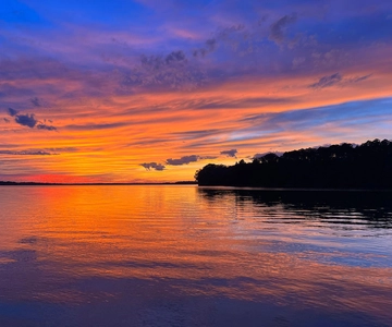 Knoxville: Sunset Sightseeing Cruise on Tennessee River