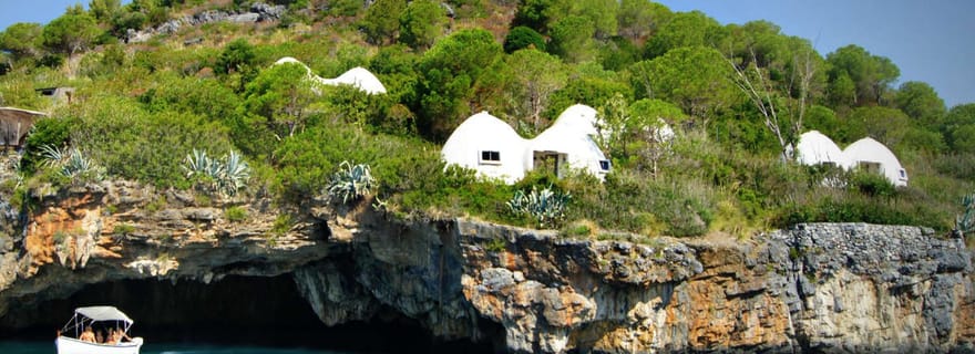 Dino Island & Arcomagno Eco-Boat Tour