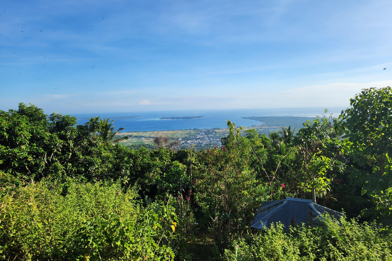 Tour dei funghi delle Gili