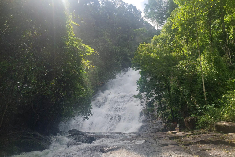 Khao Lak : excursion à vélo d'une demi-journée vers les cascades et les lacs, avec déjeunerKhao Lak : excursion à vélo d'une demi-journée vers les cascades et les lacs, avec