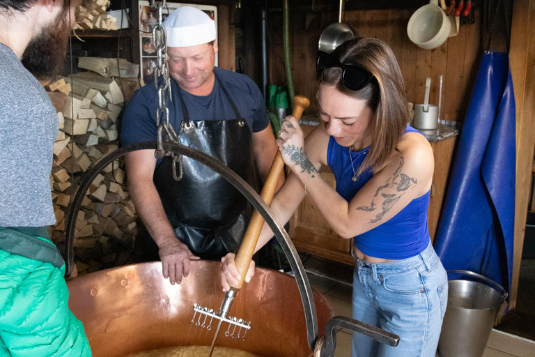 Unterseen: Alpine Cheese Farm Visit & Cheesemaking