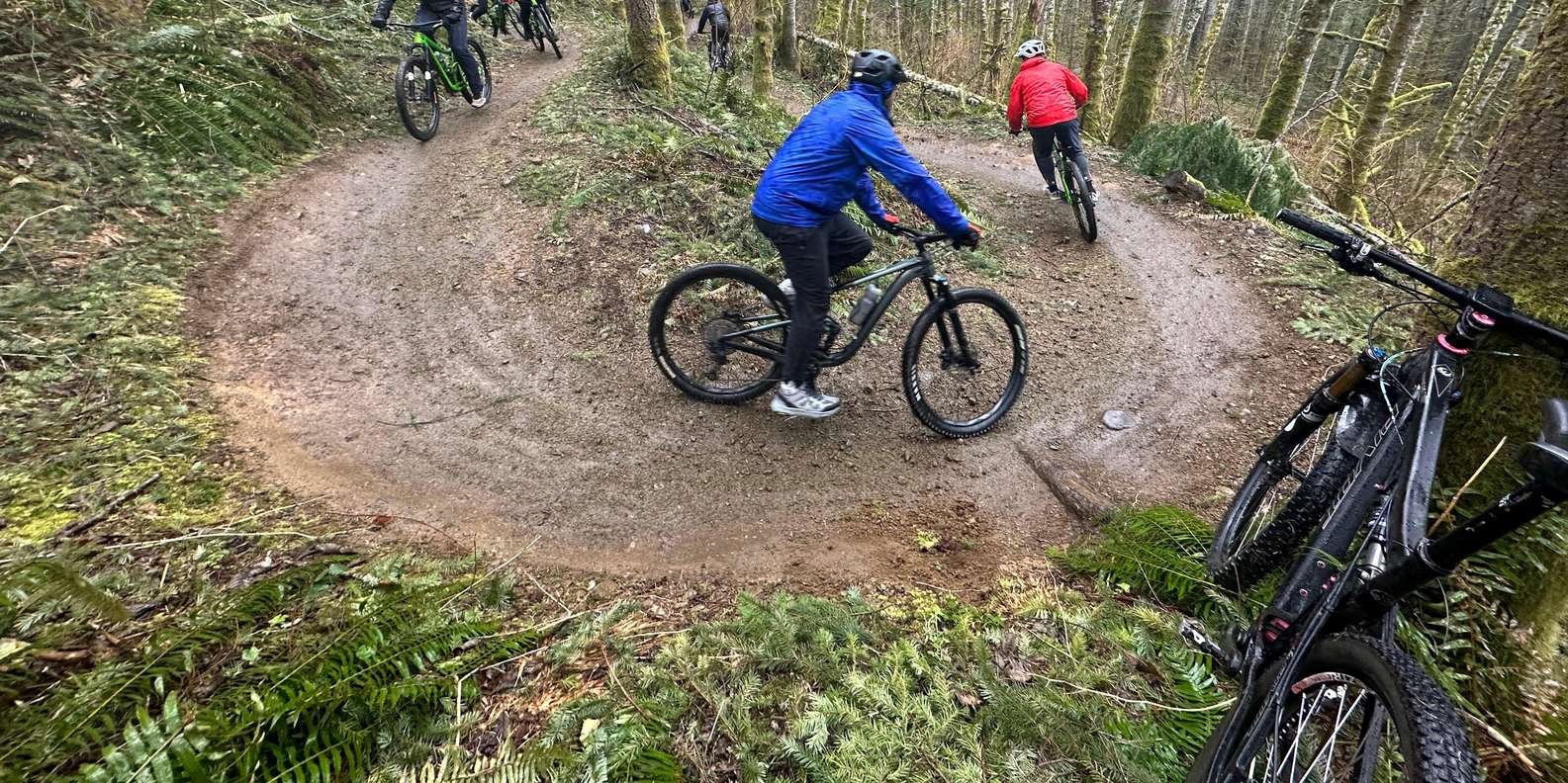 Trail Nw Northwest Cycles Bicycle Shop From Seattle: Full Day All