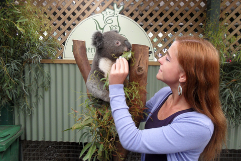 Sydney: Featherdale Wildlife Park Private Tour