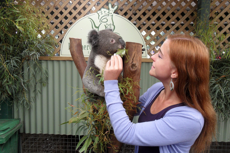 Sydney: Featherdale Wildlife Park Private Tour