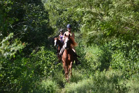 Maya Adrenaline: Paard, Quad, Ziplines, Rappel & Cenote