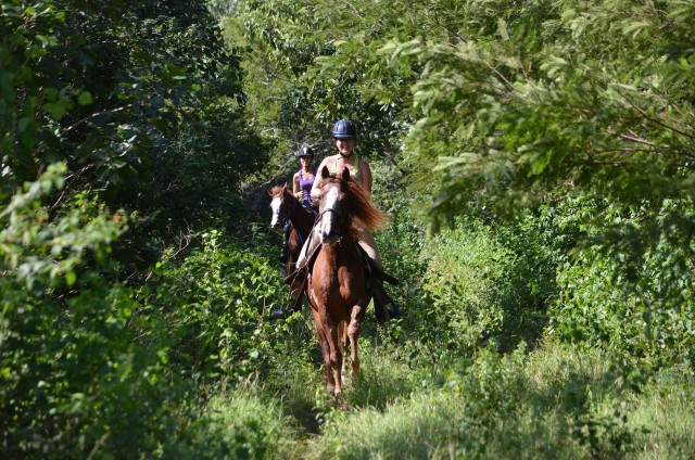 Maya Adrenaline: Horse, Quad, Ziplines, Rappel & Cenote