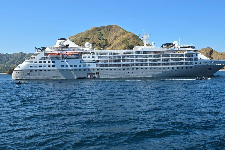 Komodo Island Shore Excursion for Cruise Ship Passengers