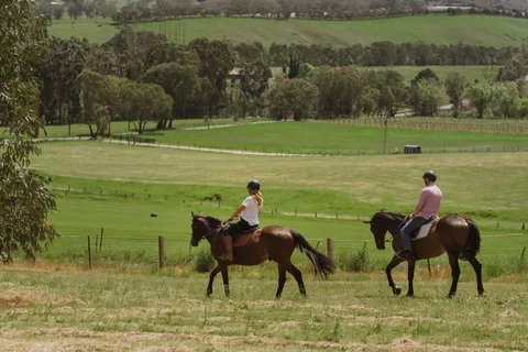 Petaluma: Horseback Riding and Wine Tasting Tour
