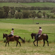 Petaluma: Romantic Private Horse Ride & Wine Tasting Package