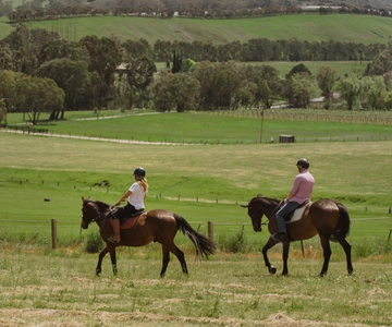 Petaluma: Horseback Riding and Wine Tasting Tour