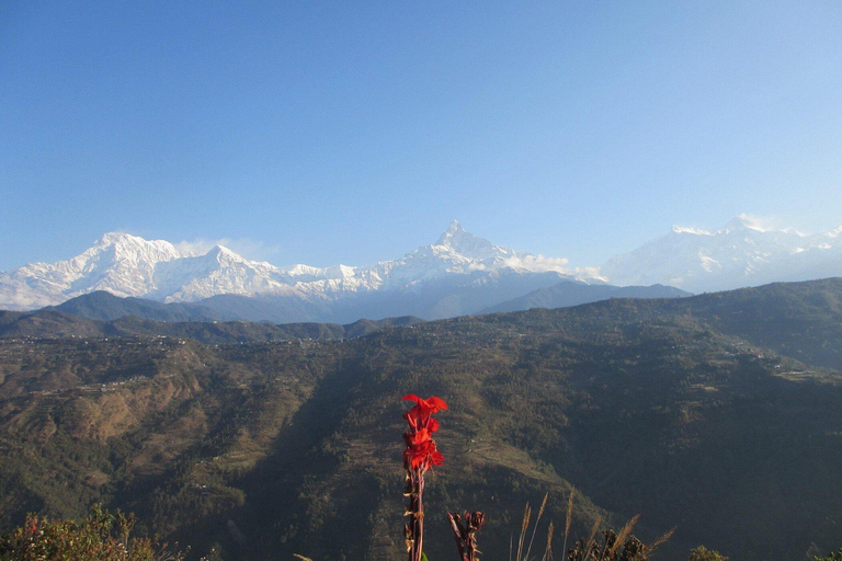 Pokhara: 1 Day Harpan Danda Guided Hike