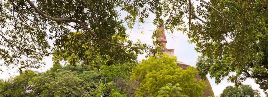 De Polonnaruwa : L'ancienne ville de Polonnaruwa à vélo