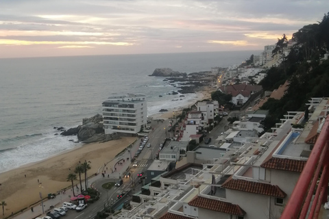 Santiago: Valparaíso and Viña del Mar Private Day Trip