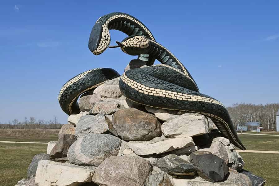 Narcisse: Private Wandertour zu Schlangenhöhlen und zum Interlake-Karst. Foto: GetYourGuide