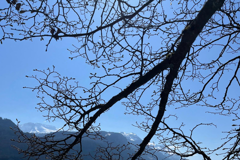 Von Basel aus: Private Tour zu den Alpen, Wasserfällen und Seen