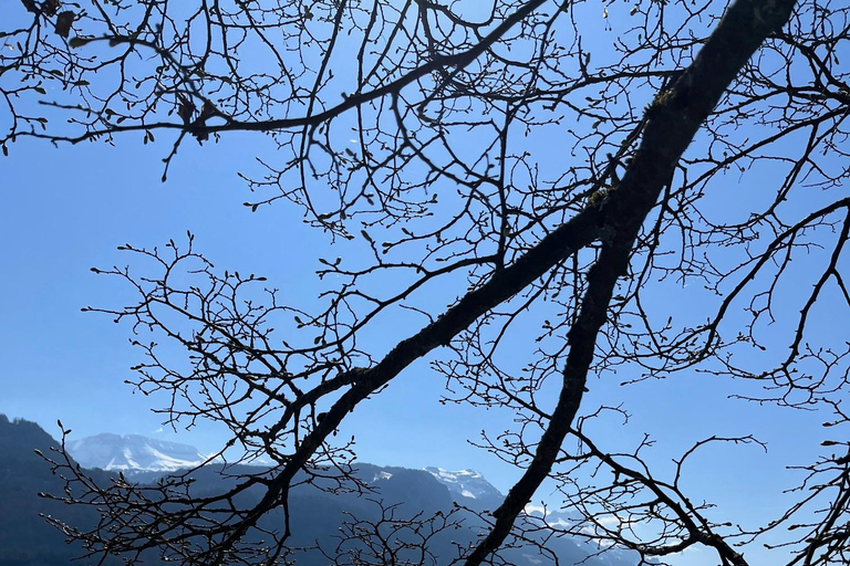 Von Basel aus: Private Tour zu den Alpen, Wasserfällen und Seen