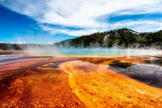 Grand Teton,Yellowstone National Park 3-Day Tour from SLC