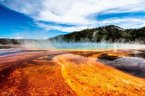 SLC:Grand Teton and Yellowstone National Park Multi-Day Tour 4-Days 3 Nights Tour with one Hotel-Breakfast on Day 2