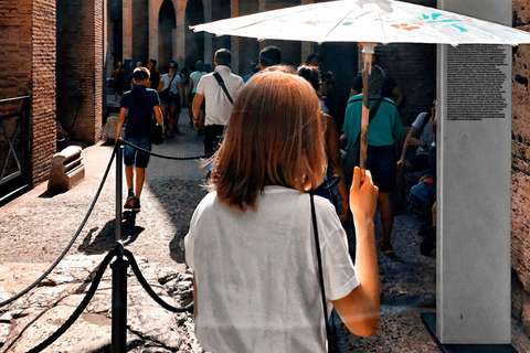 Rome: Colosseum Guided Tour with Roman Forum and Palatine English Guided Tour Small-Group