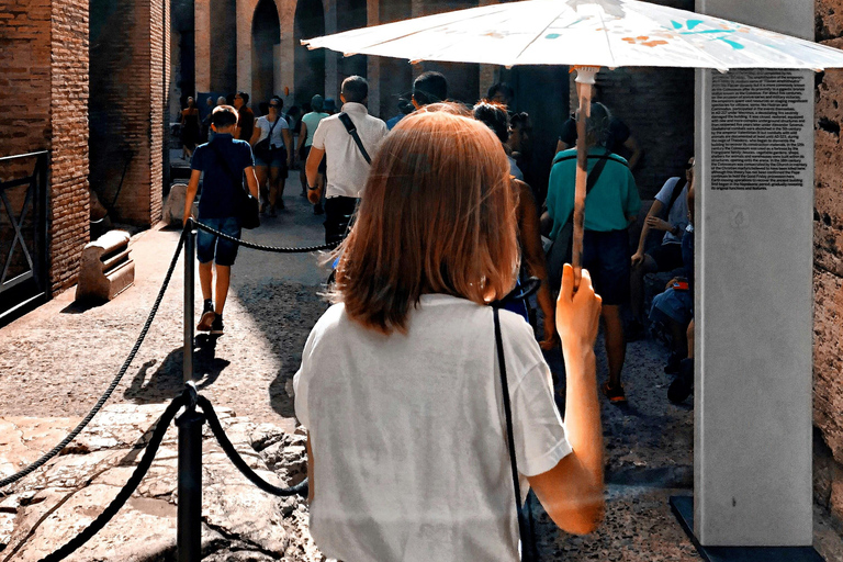 Rome: Colosseum Guided Tour with Roman Forum and Palatine English Guided Tour Small-Group
