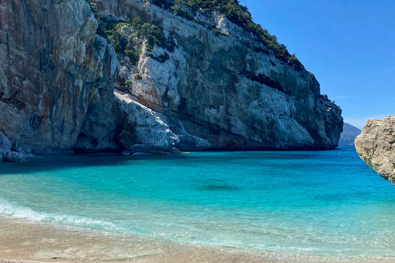 Arbatax: Baunei Coast Day Tour by Boat Arbatax: Boat tour day trip without lunch in Orosei Gulf
