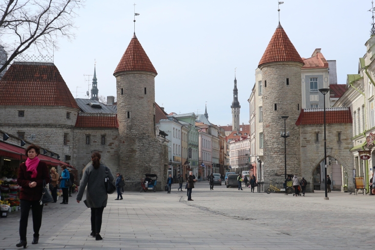 Riga - Tallin: Transfer en Tour langs prachtige bezienswaardigheden