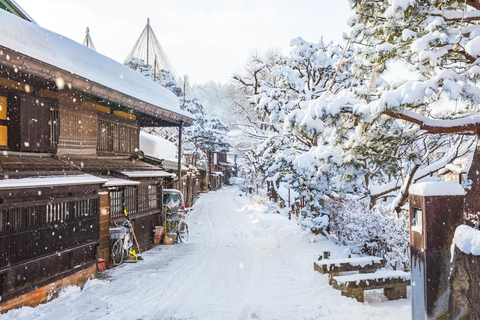Nagoya: Shirakawa-go, Hida Takayama Day Tour