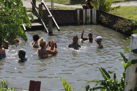 Fidżi: Odkryj Nadi dzięki wycieczce do gorących źródeł Sabeto i basenu błotnegoOdbiór z Fiji Marriott/Queens Wharf Lautoka/Tanoa Waterfront