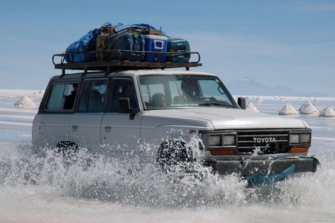 Uyuni: Salar och Incahuasi-ön - Privat tur, 1 dagstur