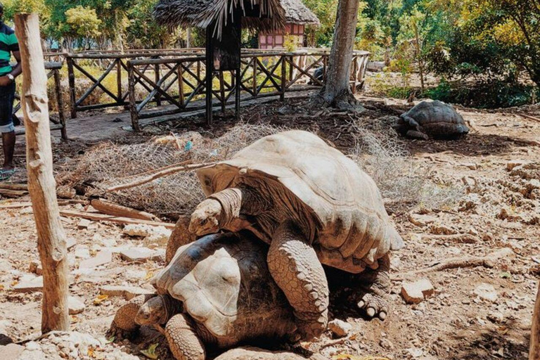 Zanzibar: Jozani Forest, Village & Butterfly Center