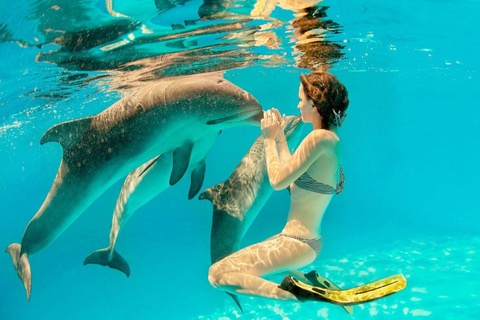 Zanzibar: Swim with Dolphins, Snorkel in Paradise!Two Persons