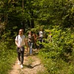 BEER WAY Kamnik: Tour delle Alpi e degustazione della birra