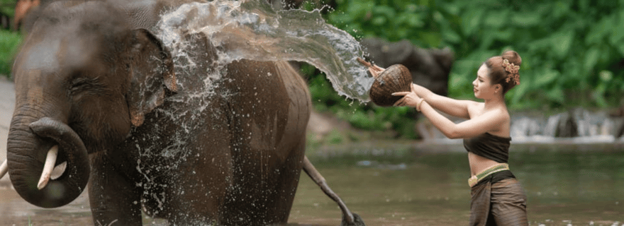 3 jours de safari dans la jungle de Chitwan au départ de Katmandou/Pokhara