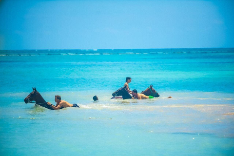 Punta Cana: Horseback Ride and Swim with Hotel Pickup