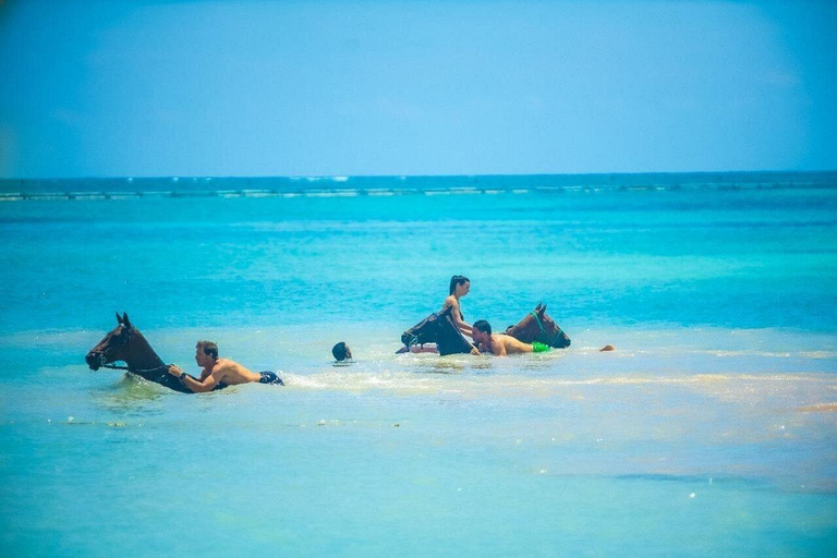 Punta Cana: Horseback Ride and Swim with Hotel Pickup
