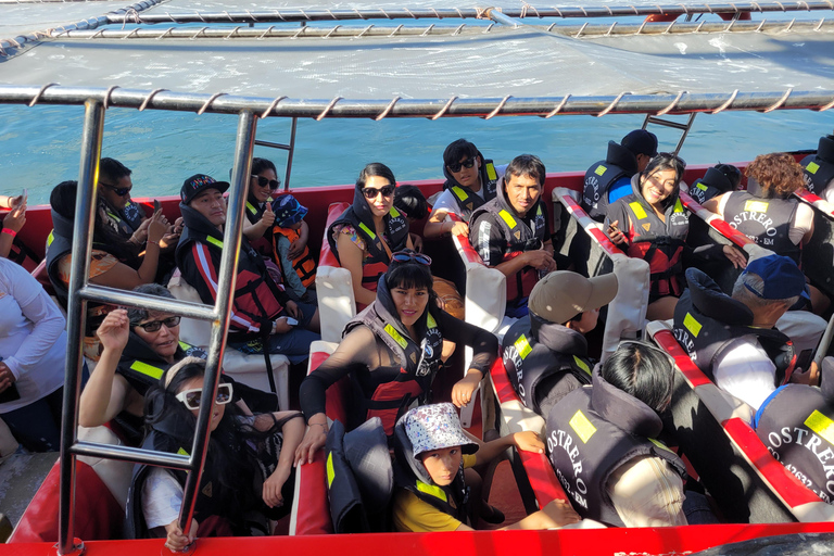 Ica: Full day to the Ballestas Islands and the Paracas National Reserve Ica: Full Day to the Ballestas Islands and Paracas National Reserve