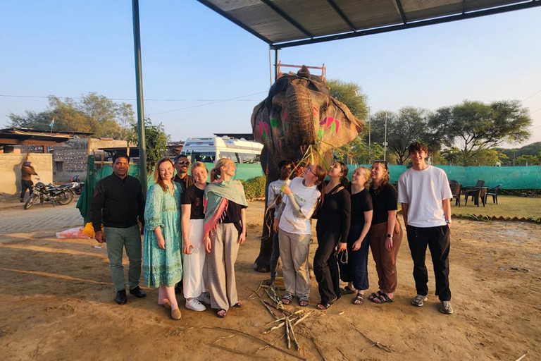 Delhi - Agra - Jaipur 3-TagestourDelhi - Agra - Jaipur 3 Tage Tour