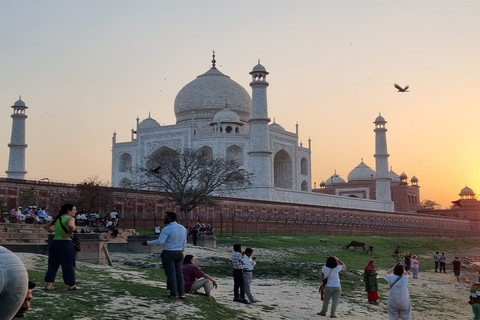 Z Agry: Odwiedź Taj Mahal w krótszym czasie pociągiem gatimanWycieczka z lunchem, biletem na zabytek lub tylko samochodem i przewodnikiem