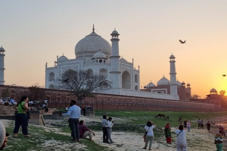 Z Agry: Odwiedź Taj Mahal w krótszym czasie pociągiem gatimanWycieczka z lunchem, biletem na zabytek lub tylko samochodem i przewodnikiem